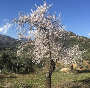 Paesaggio naturale nelle vicinanze dell'agriturismo