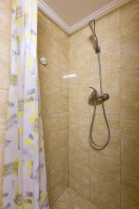 a shower with a shower curtain in a bathroom at Apartments Bernarda in Skrbčići +36 photos