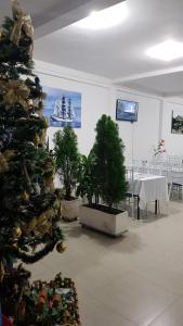 Φωτογραφία από το άλμπουμ του Tropical Resort Tocaima σε Tocaima
