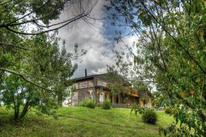 une maison sur une colline avec des arbres au premier plan dans l'établissement Casa del rio, à Radal