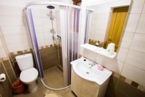 a bathroom with a shower and a toilet and a sink at Vidra Parc in Voineasa +56 photos