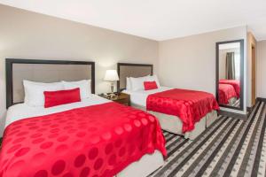 Postel nebo postele na pokoji v ubytování Ramada by Wyndham Springfield North