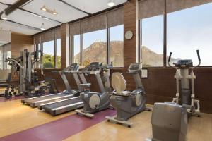 Fitness centrum a/nebo fitness zařízení v ubytování Ramada by Wyndham Udaipur Resort and Spa