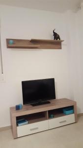 a cat sitting on a shelf above a television at Vera Playa Laguna Beach Resort in Vera