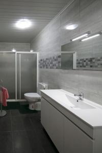 Un baño con lavabo, inodoro y ducha. en Lobos Rustic House II, en Câmara de Lobos