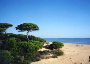 Fotografia z galérie ubytovania Ático del Portil v destinácii El Portil