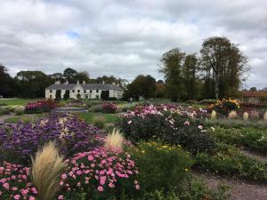 a garden with flowers in front of a white house at Beautiful Killarney Apartment in Killarney