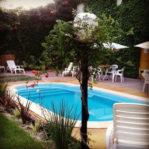 ein kleiner Baum neben einem Pool in der Unterkunft Hosteria del Sur in Villa Gesell