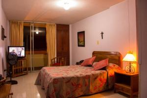 1 dormitorio con 1 cama y TV en Hotel Chamana, en Caicedonia
