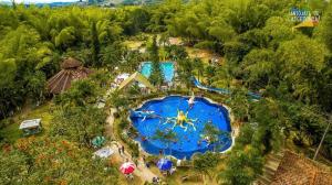 an overhead view of a pool at a resort at Hotel Chamana in Caicedonia