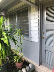 a front door of a house with plants at Access Units in Lungga