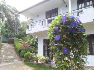 a building with purple flowers in front of it at Abha Villa in Galle