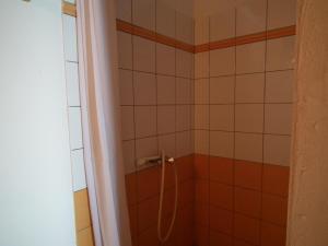 a bathroom with a shower with a hose at Le Cardinal des Grands Bleus in Saint-Leu