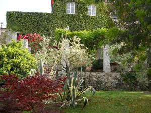 a garden in front of a building with plants at I Glicini in Lerici