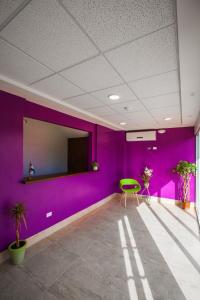 Zimmer mit lila Wänden und einem grünen Stuhl in der Unterkunft Airport Inn Managua in Managua