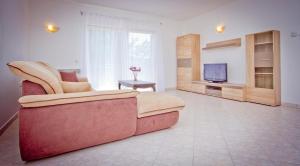 TV/Unterhaltungsangebot in der Unterkunft Holiday Home Vinac