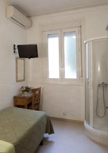 1 dormitorio con ducha, 1 cama y TV en AVA Rooms, en Madrid