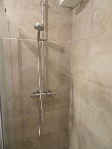 een douche met een glazen deur in de badkamer bij Le Sunlight, quiet and cosy with terrace! in Nice