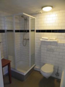 Vonios kambarys apgyvendinimo įstaigoje De Gouden Karper