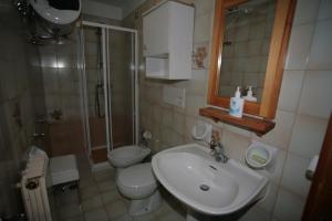 a bathroom with a sink and a toilet and a shower at Appartamenti Cercenà in Canazei