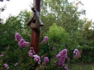 um poste de madeira com flores roxas e uma casa de pássaros em Cabañas ICh em Tigre