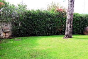 Gallery image of Villa Rita in Forte dei Marmi