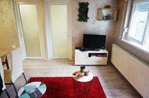 ein Wohnzimmer mit einem TV und einem roten Teppich in der Unterkunft Apartment Kamencic in Zlatibor