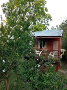 a small red cabin with a tree and flowers at Cabañas ICh in Tigre