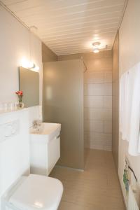 een badkamer met een toilet, een wastafel en een douche bij Hotel Lisboa in Frederikshavn