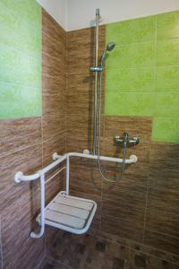 a bathroom with a shower with a toilet in it at Camere de închiriat Hătuica in Hătuica