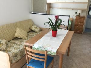 a table with a potted plant on it next to a couch at La casetta della nonna in Sestri Levante