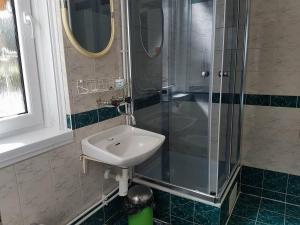 a bathroom with a sink and a shower at Vila Zdenka in Vysoke Tatry - Tatranska Kotlina