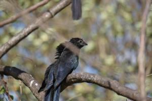 Foto dalla galleria di Hostal y Restaurante Rancho Merida a Mérida