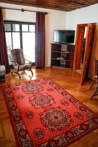 a living room with a red rug and a television at Erzsébet Pince in Tokaj