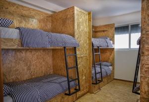 Buff Hostel Tirana tesisinde bir ranza yatağı veya ranza yatakları