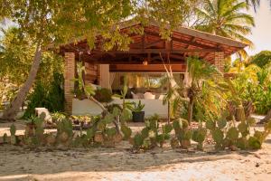 a house on the beach with a bunch of cactus at Refugios Parajuru - Chalet la Garagem in Parajuru