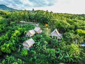 une vue aérienne sur une forêt avec des maisons sur une colline dans l'établissement Echo Alam Nusa Lodge, à Nusa Penida