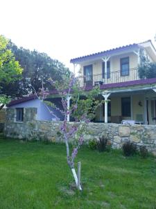 a small tree in front of a house at Nar Bağevi in Bozcaada