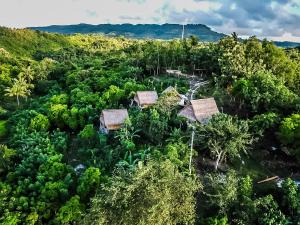 une vue aérienne sur une forêt arborée dans l'établissement Echo Alam Nusa Lodge, à Nusa Penida