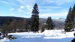 einen schneebedeckten Hang mit Bäumen und Bergen im Hintergrund in der Unterkunft Penzion Diana in Železná Ruda