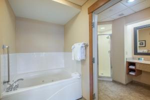 
A bathroom at Crowne Plaza Lake Placid, an IHG Hotel
