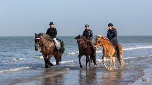 três pessoas estão andando a cavalo na praia em Aan de Waterspiegel em Aagtekerke