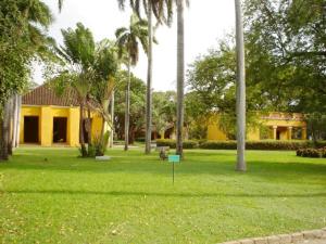 une cour avec des palmiers et une maison jaune dans l'établissement Casa Villa Toledo, à Santa Marta