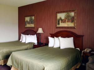 Llit o llits en una habitació de Travelodge by Wyndham Watertown