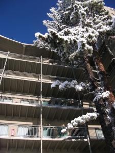 L'établissement Pepper Tree Inn Tahoe City en hiver