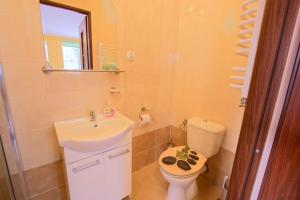 a bathroom with a sink and a toilet and a mirror at ZŁOTY BUK in Jelenia Góra-Jagniątków +43 photos