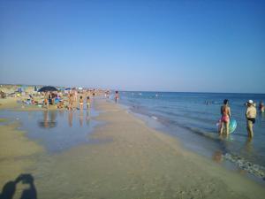 Táj Show holiday homes közelében
