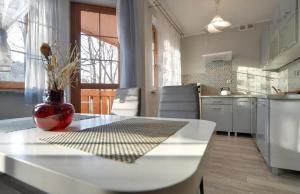 Kuchyňa alebo kuchynka v ubytovaní Apartamenty "MILENA"