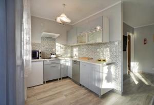 Kuchyňa alebo kuchynka v ubytovaní Apartamenty "MILENA"