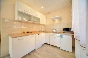 Kuchyňa alebo kuchynka v ubytovaní Apartamenty "MILENA"